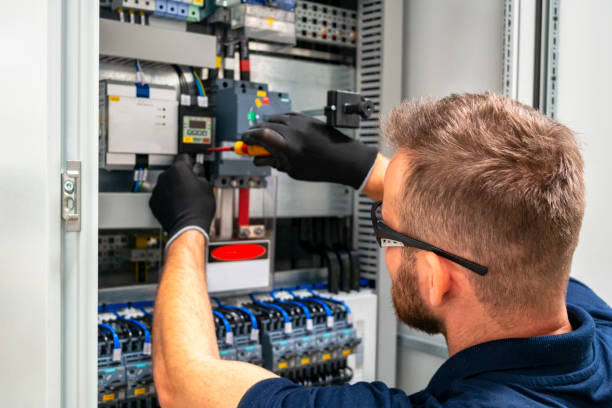 Best Electric Panel Repair  in Seyur, MO