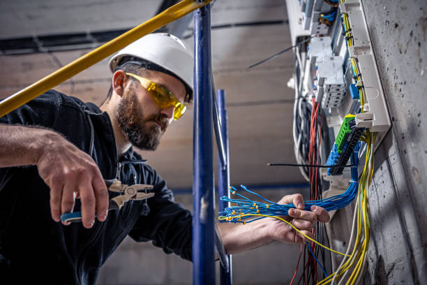 Best Electrical Upgrades for Homes  in Seyur, MO