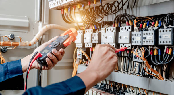 Best Electrician for Home Renovation  in Seyur, MO