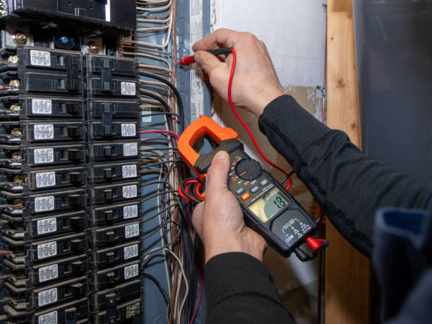 Best Electrical System Inspection  in Seyur, MO